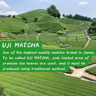 Matcha ceremonial Japones Morihan Organic Uji Matcha